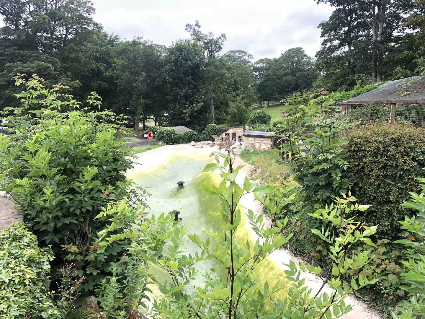 Humboldt Penguin Enclosure at Sewerby Zoo (June 2023)