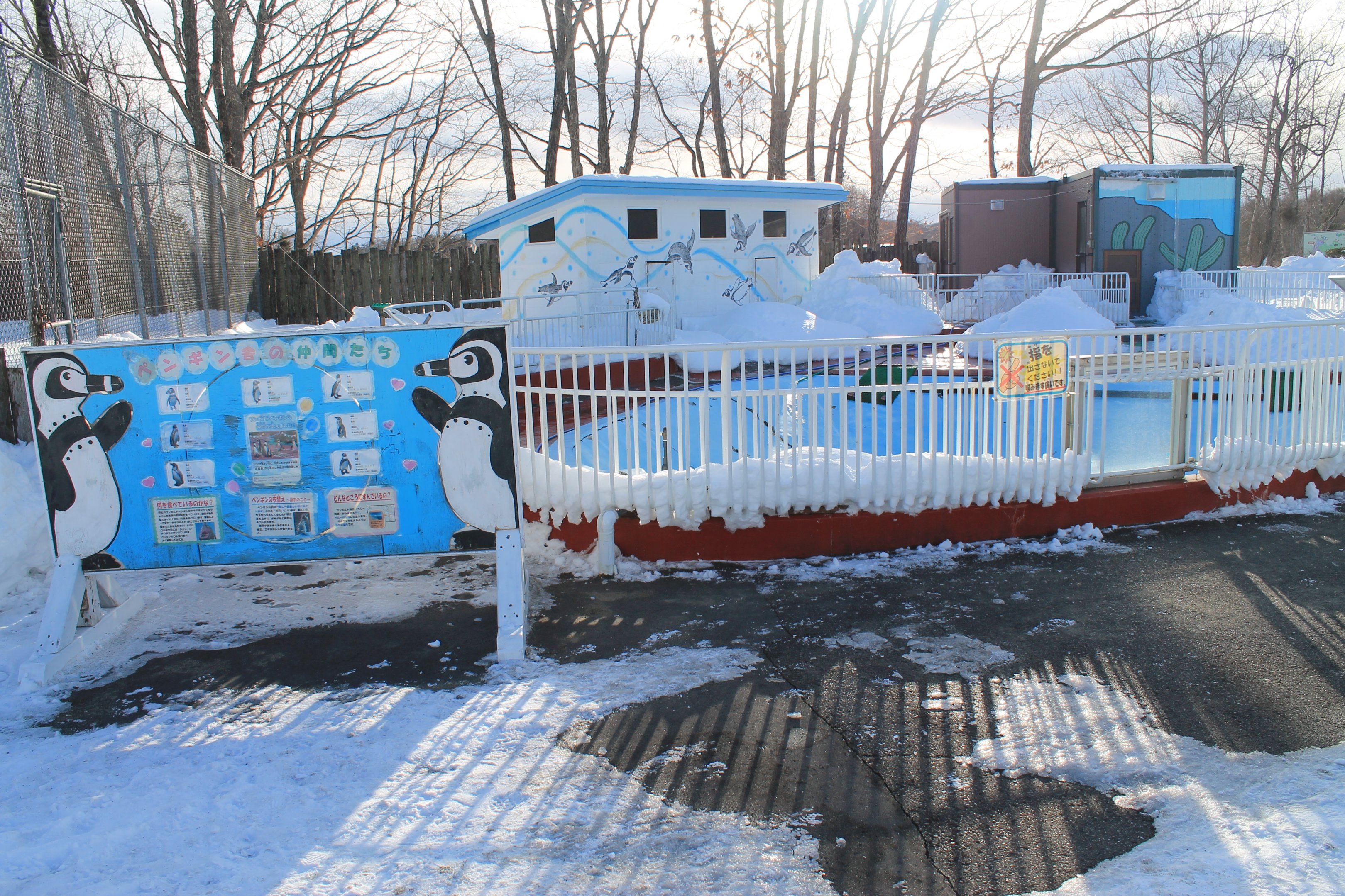 Humboldt Penguin enclosure, Kushiro Zoo