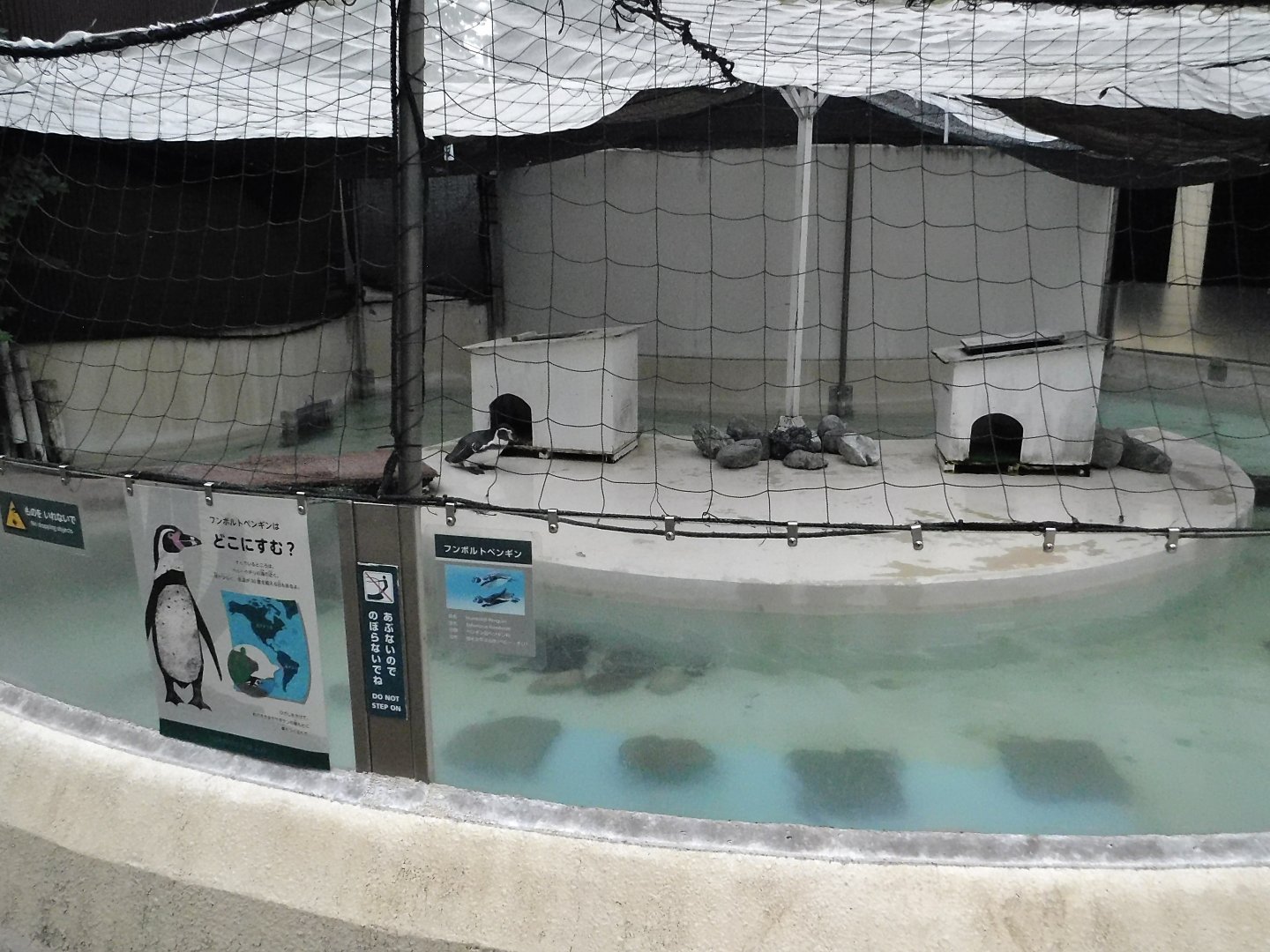 Humboldt Penguin Enclosure October 4, 2025