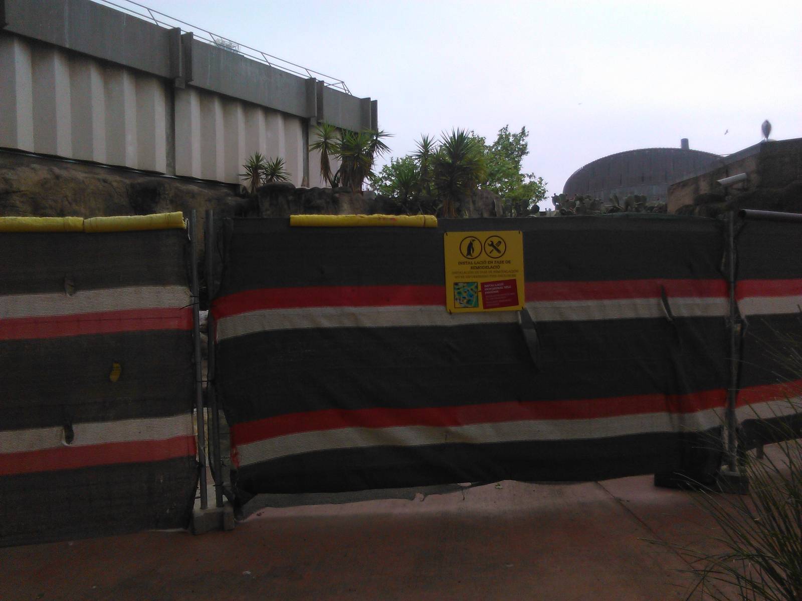 Humboldt penguin enclosure under reconstruction.