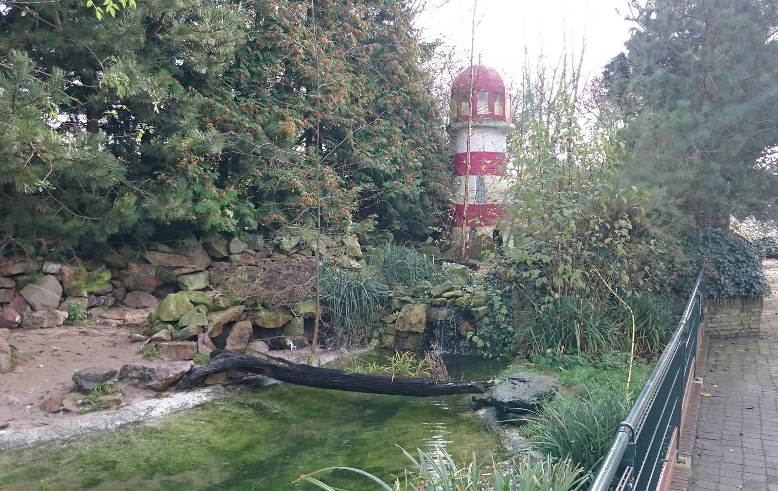 Humboldt penguin enclosure