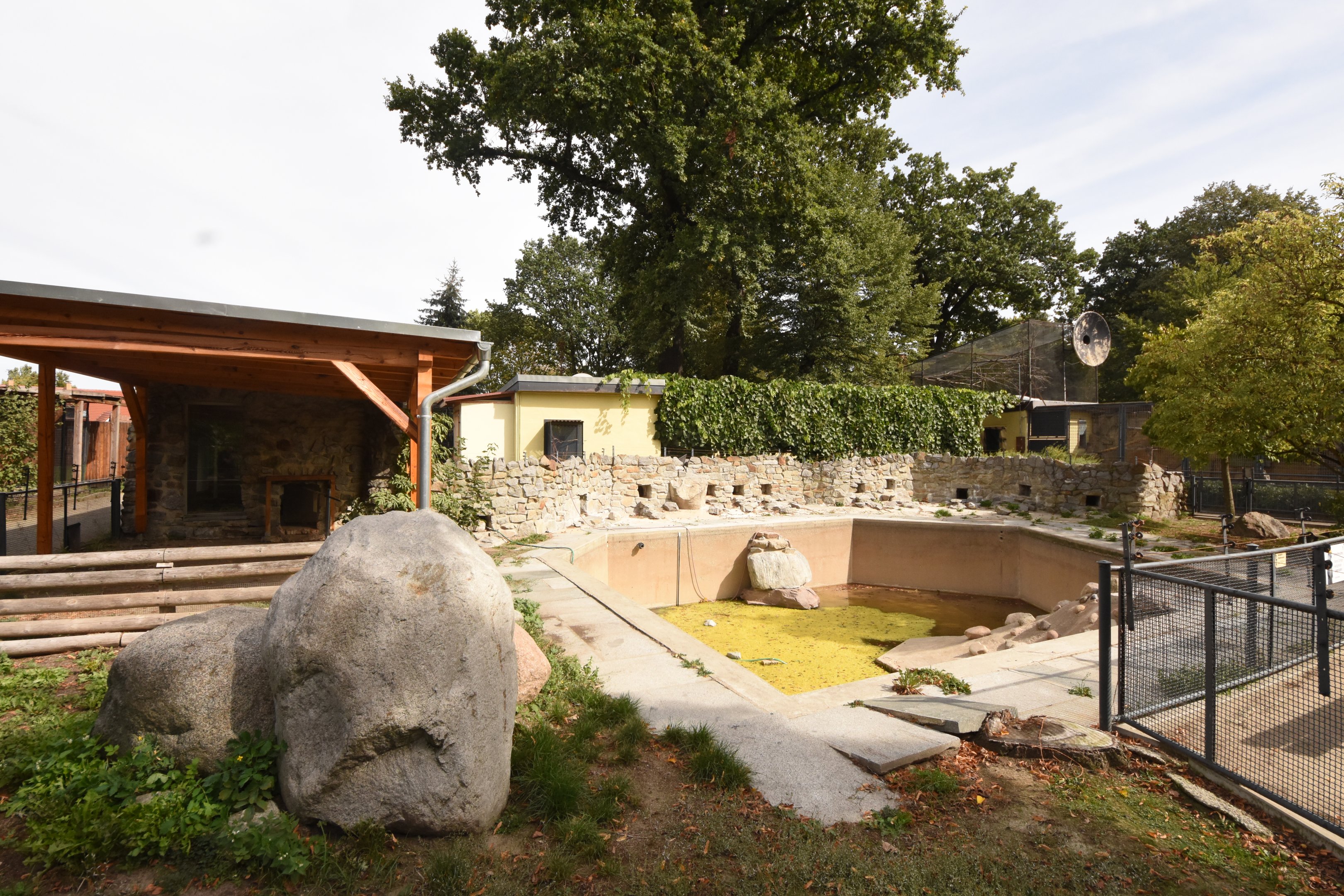 Humboldt penguin enclosure