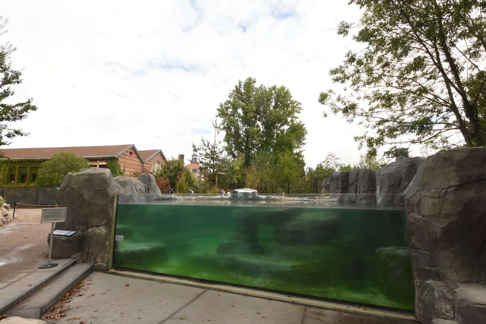 Humboldt Penguin enclosure