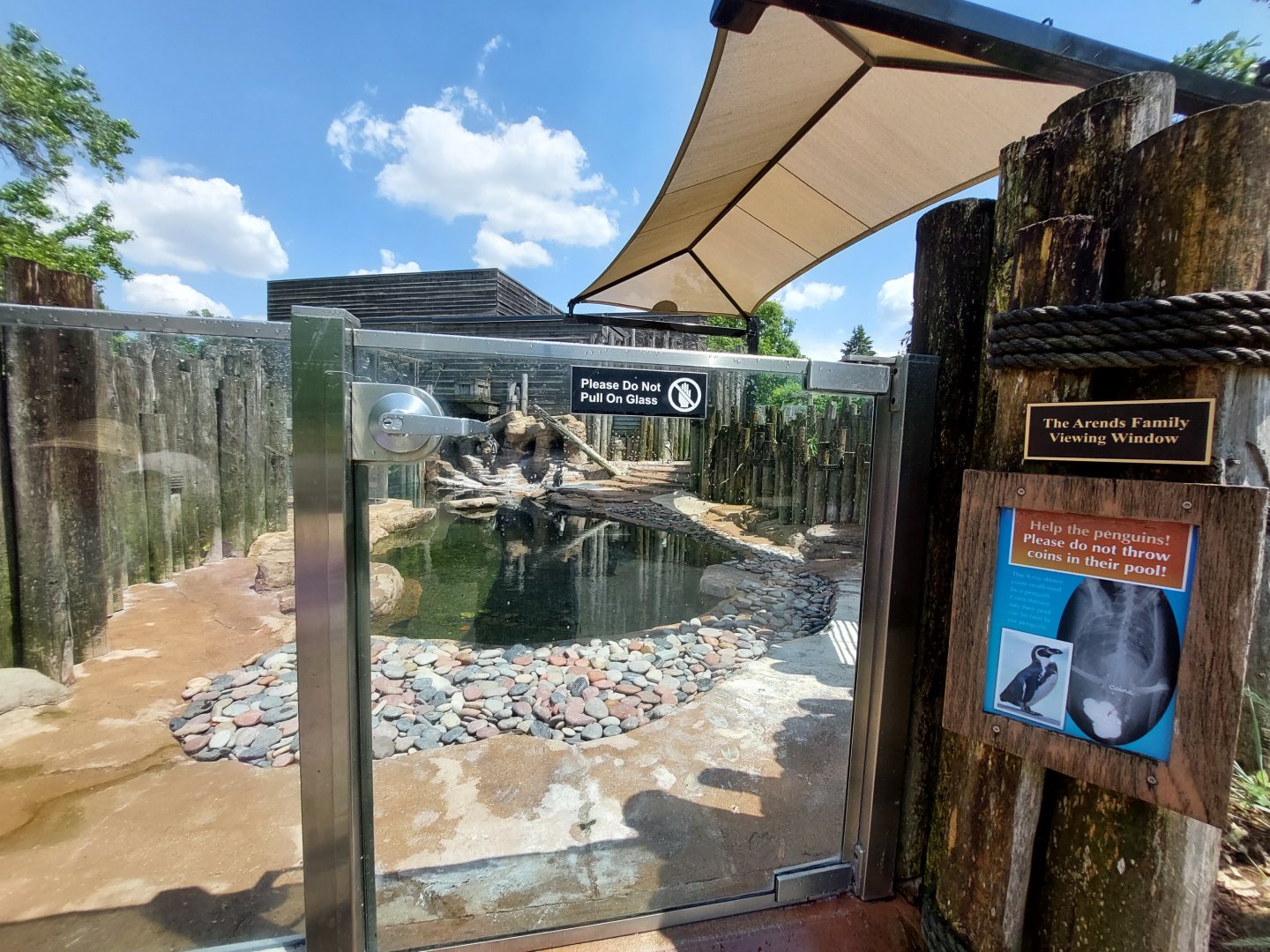 Humboldt Penguin Enclosure