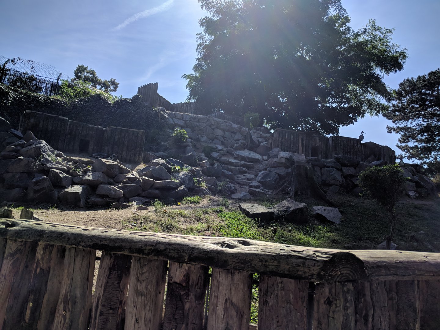 Humboldt Penguin Enclosure