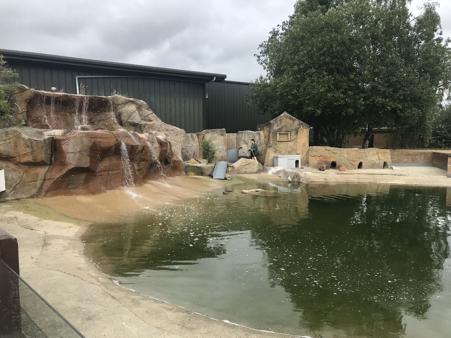 Humboldt penguin enclosure