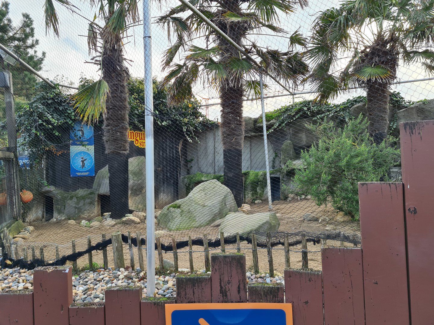 Humboldt penguin enclosure