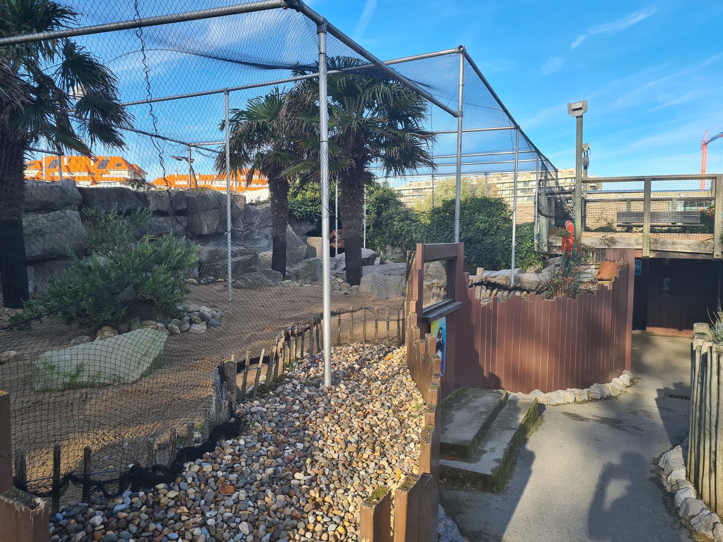 Humboldt penguin enclosure