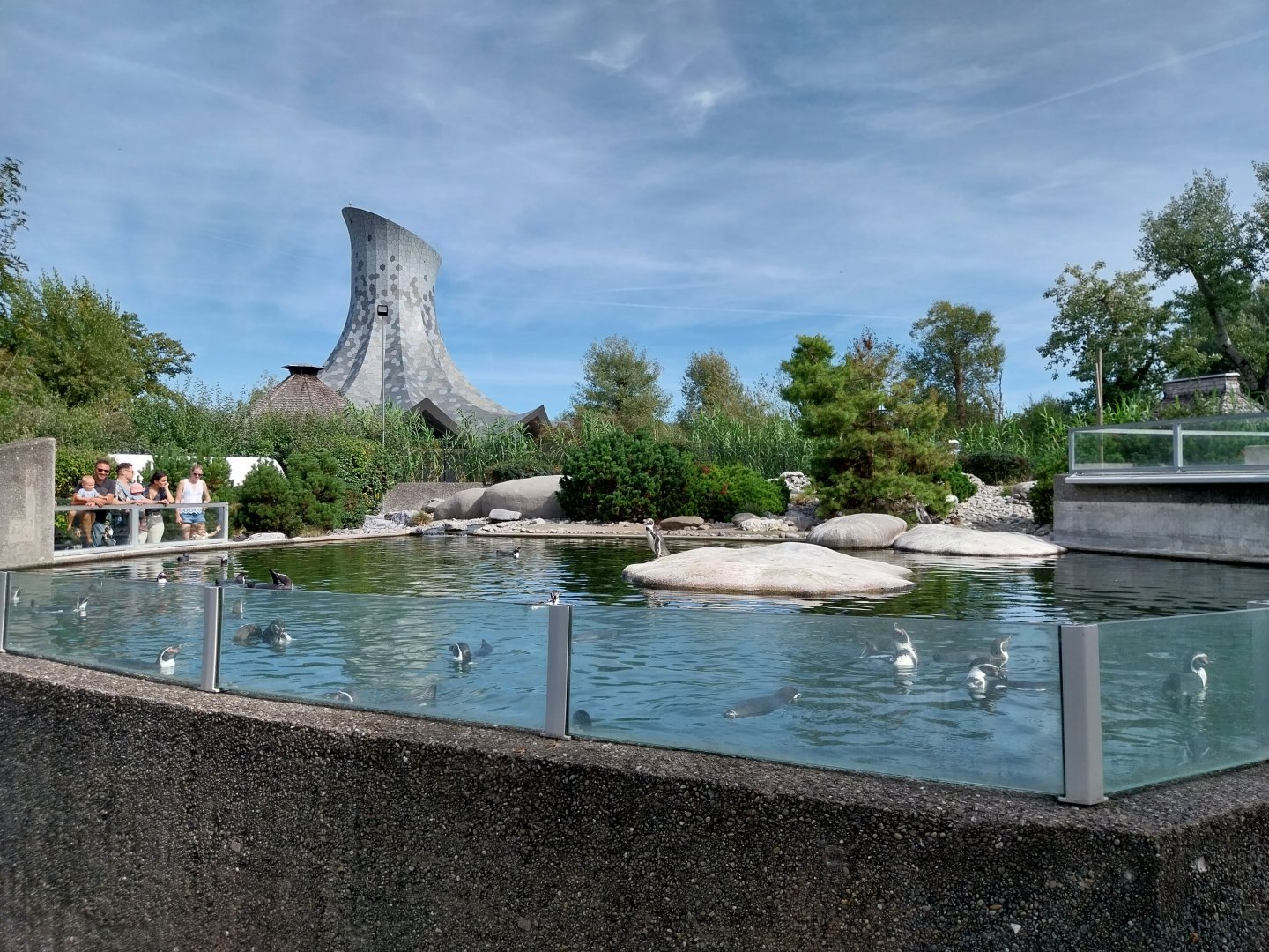 Humboldt penguin enclosure