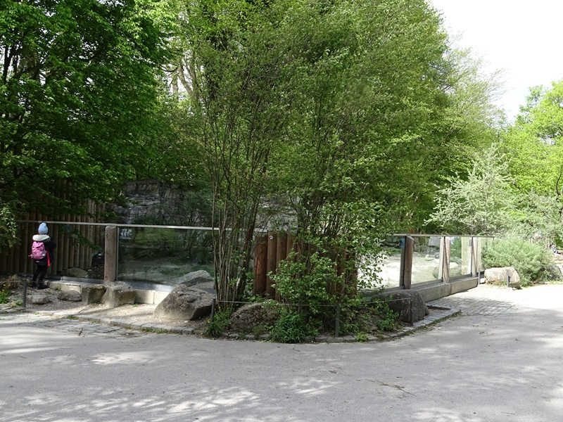 Humboldt penguin enclosure