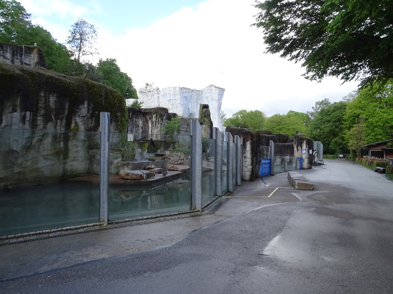 Humboldt penguin enclosure