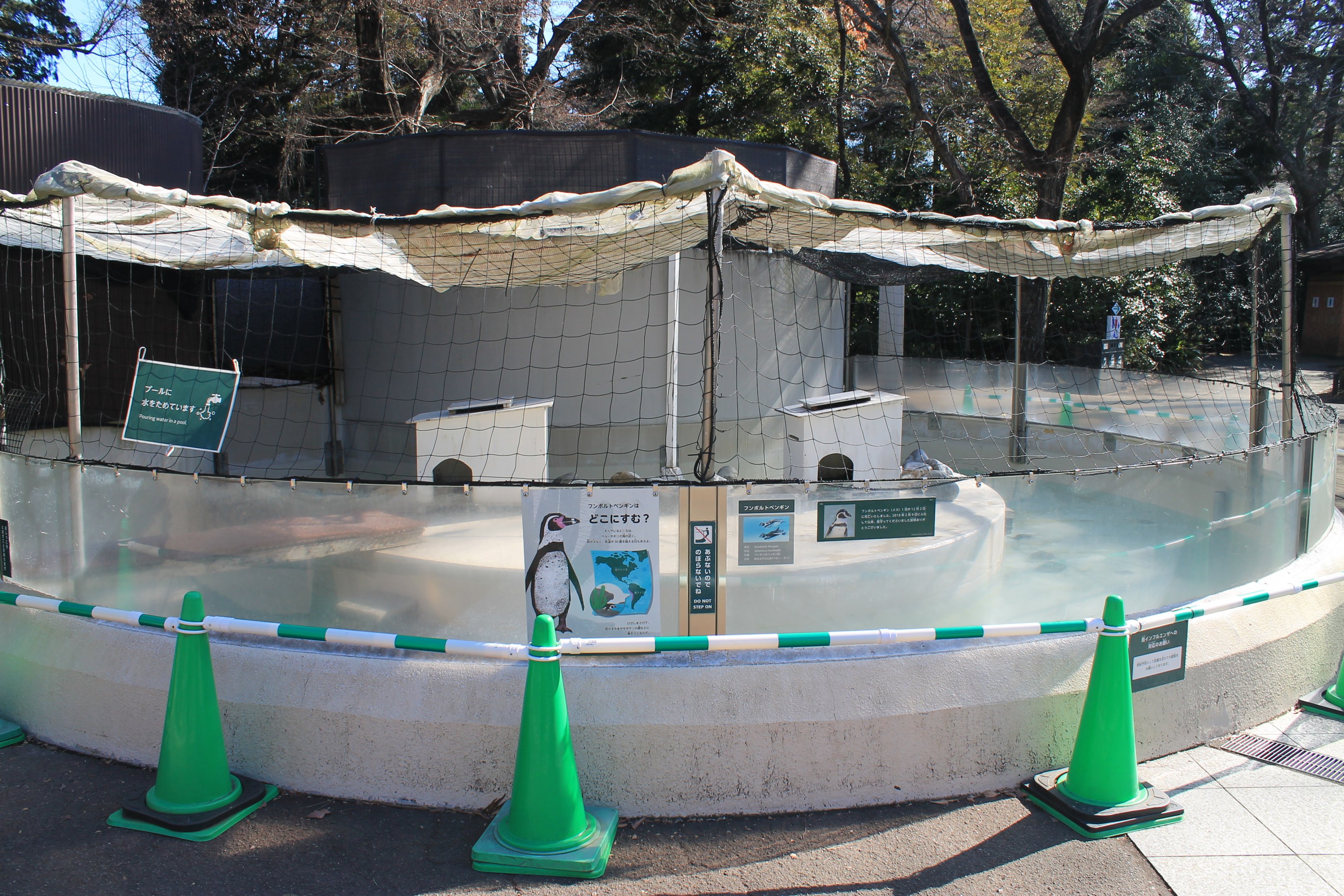 Humboldt Penguin enclosure