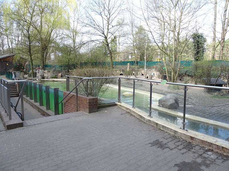 Humboldt penguin enclosure
