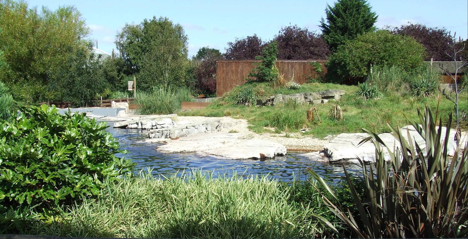 Humboldt Penguin enclosure
