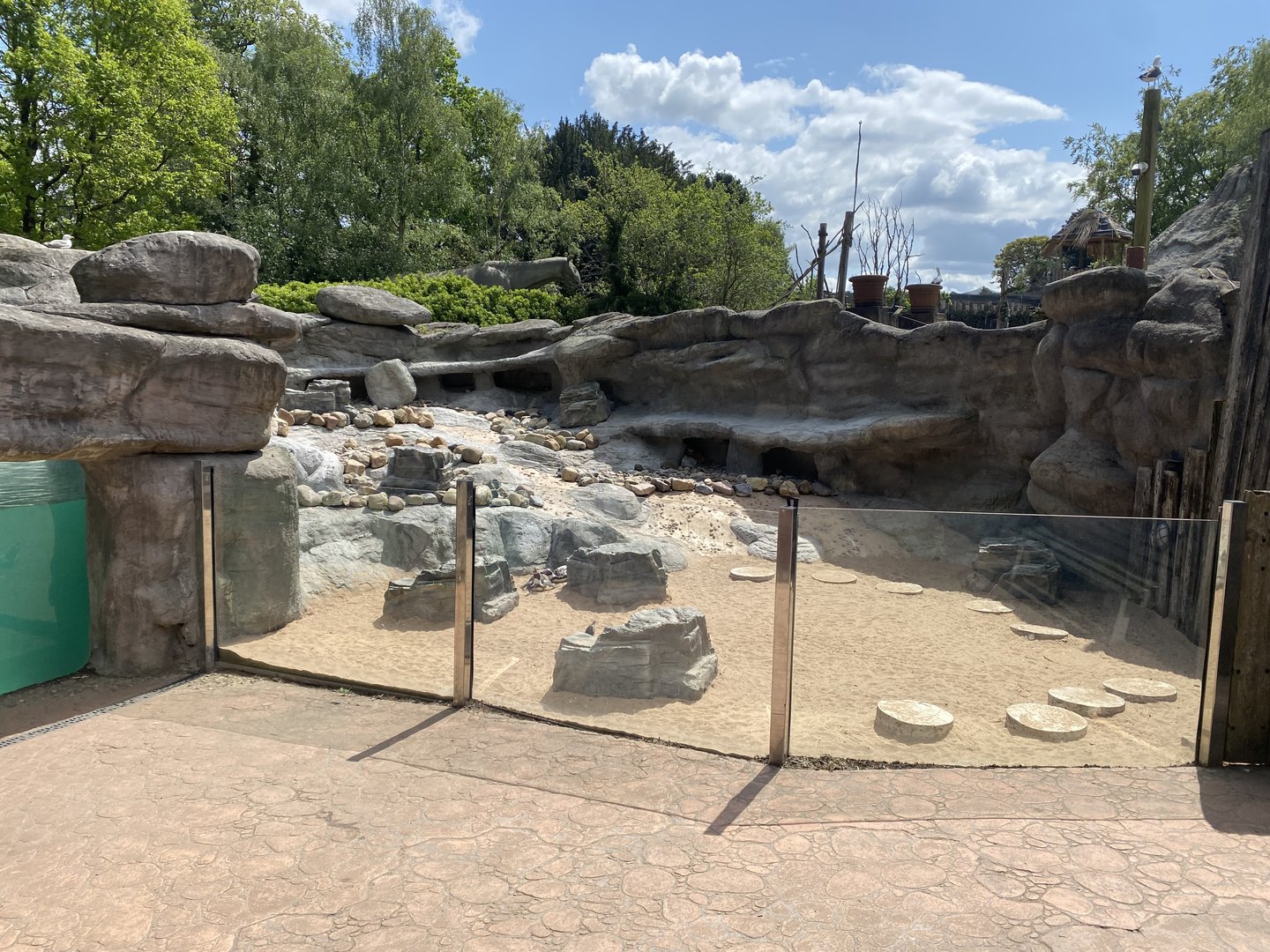 Humboldt penguin exhibit 150523