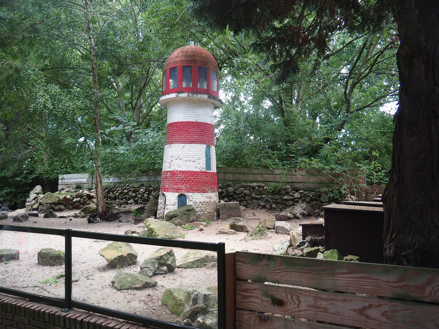 Humboldt penguin exhibit, 2022-08-28