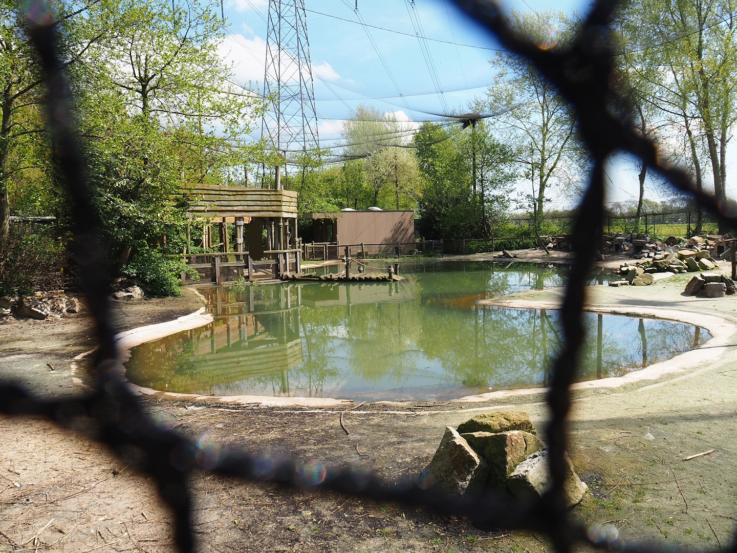 Humboldt penguin exhibit, 2023-04-30