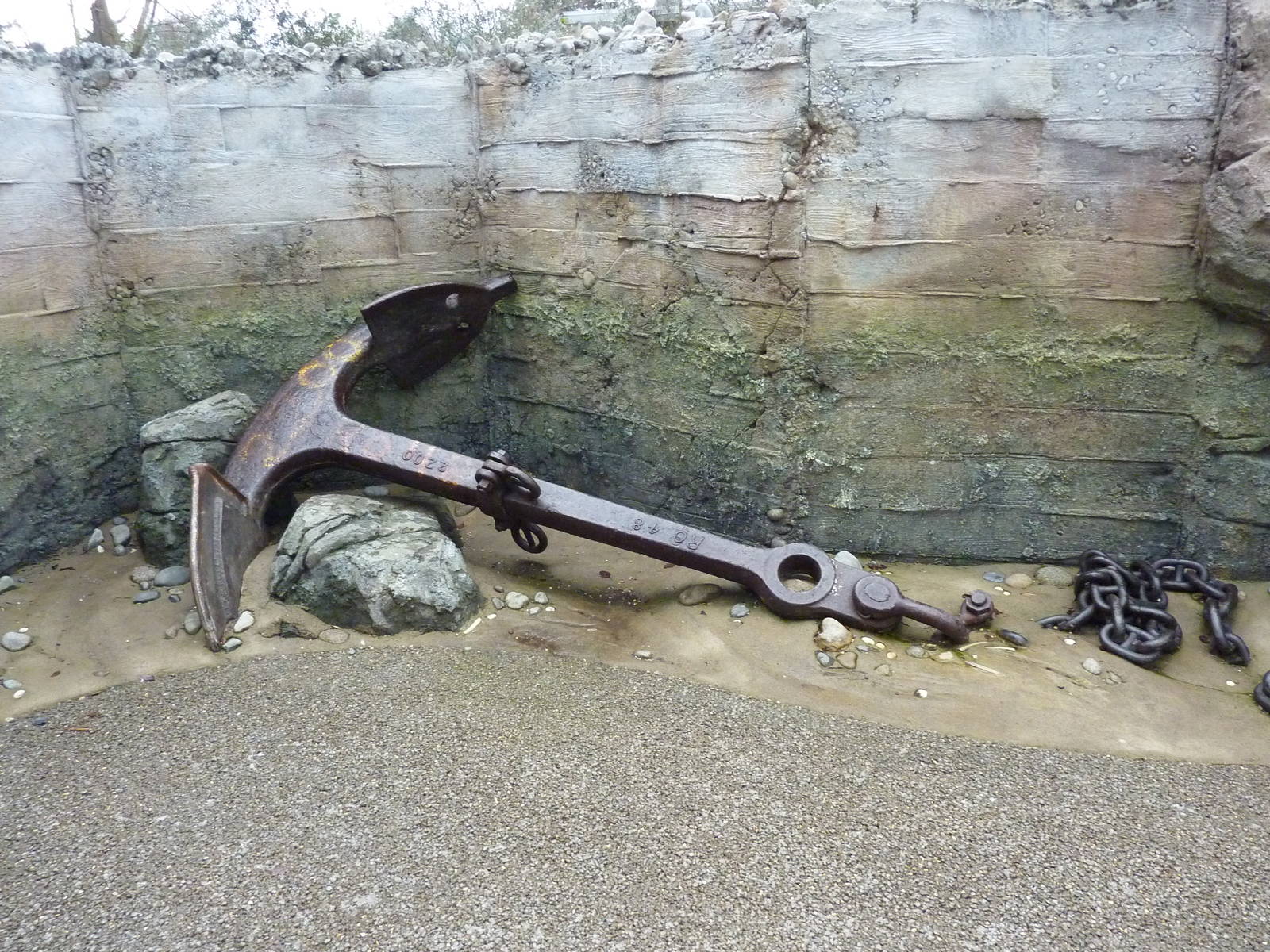Humboldt Penguin Exhibit - Anchor