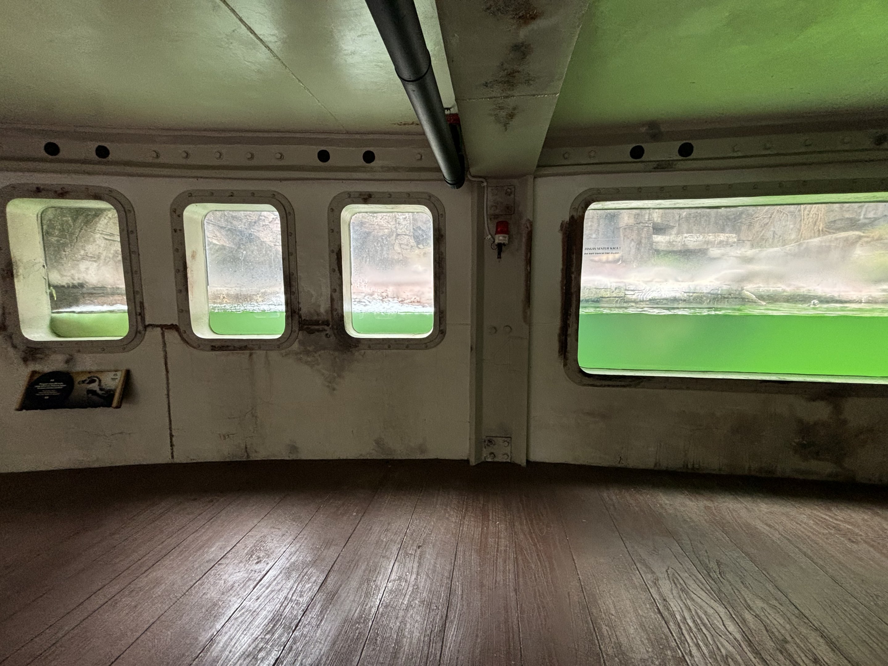 Humboldt Penguin Exhibit - Aquatic Land