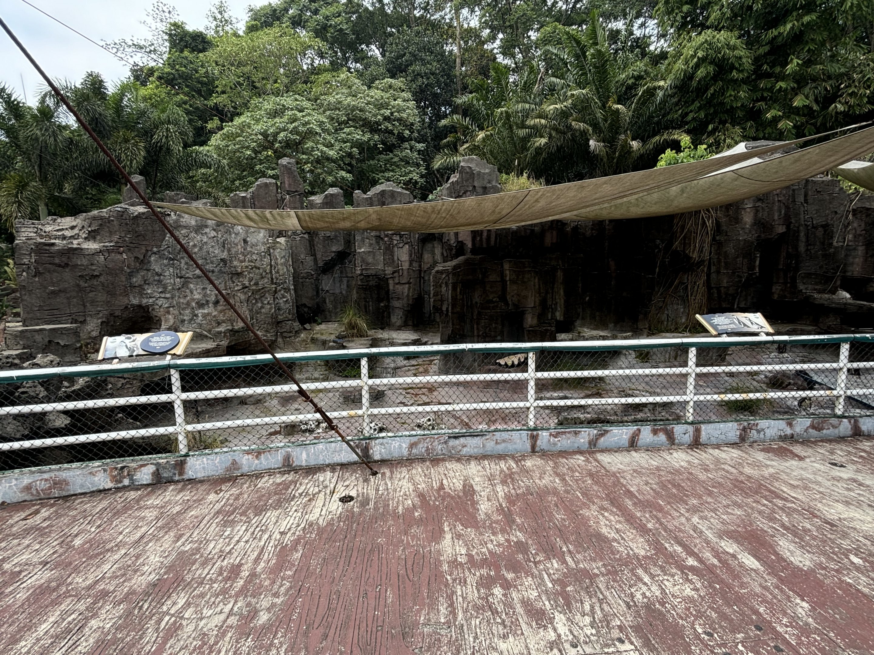 Humboldt Penguin Exhibit - Aquatic Land
