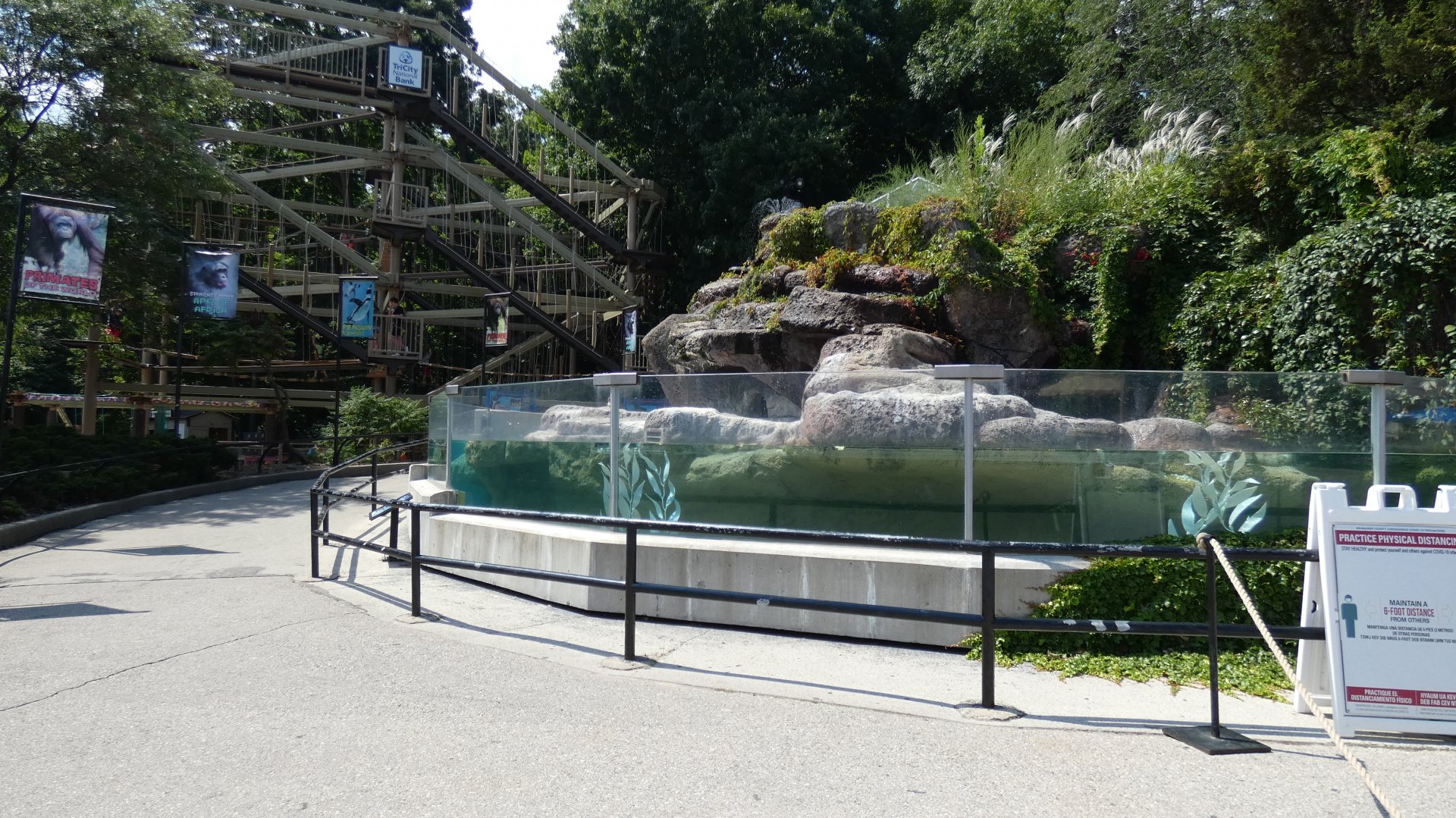 Humboldt Penguin Exhibit - Aug. 2021