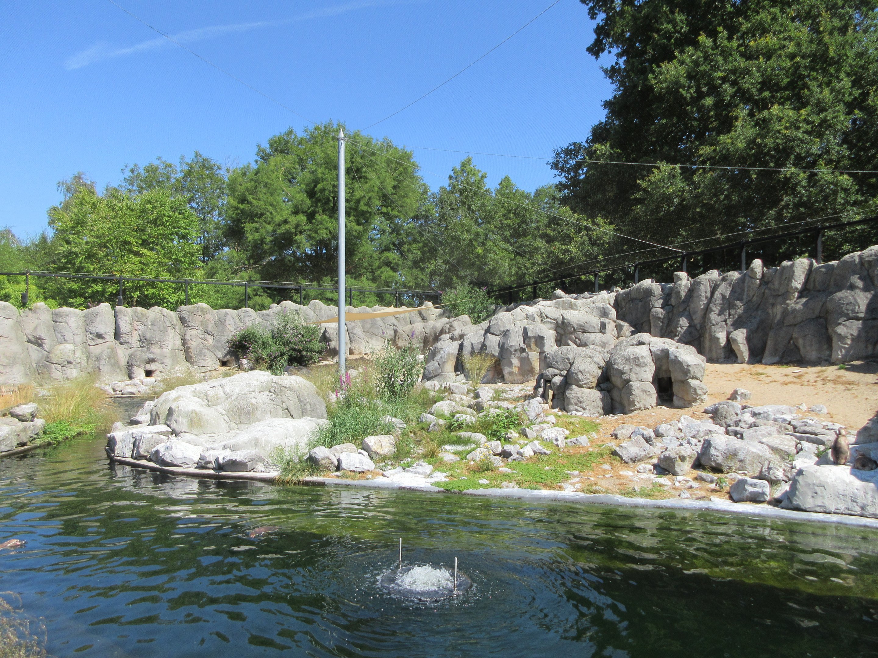 Humboldt Penguin Exhibit (brilliant, enormous aviary)