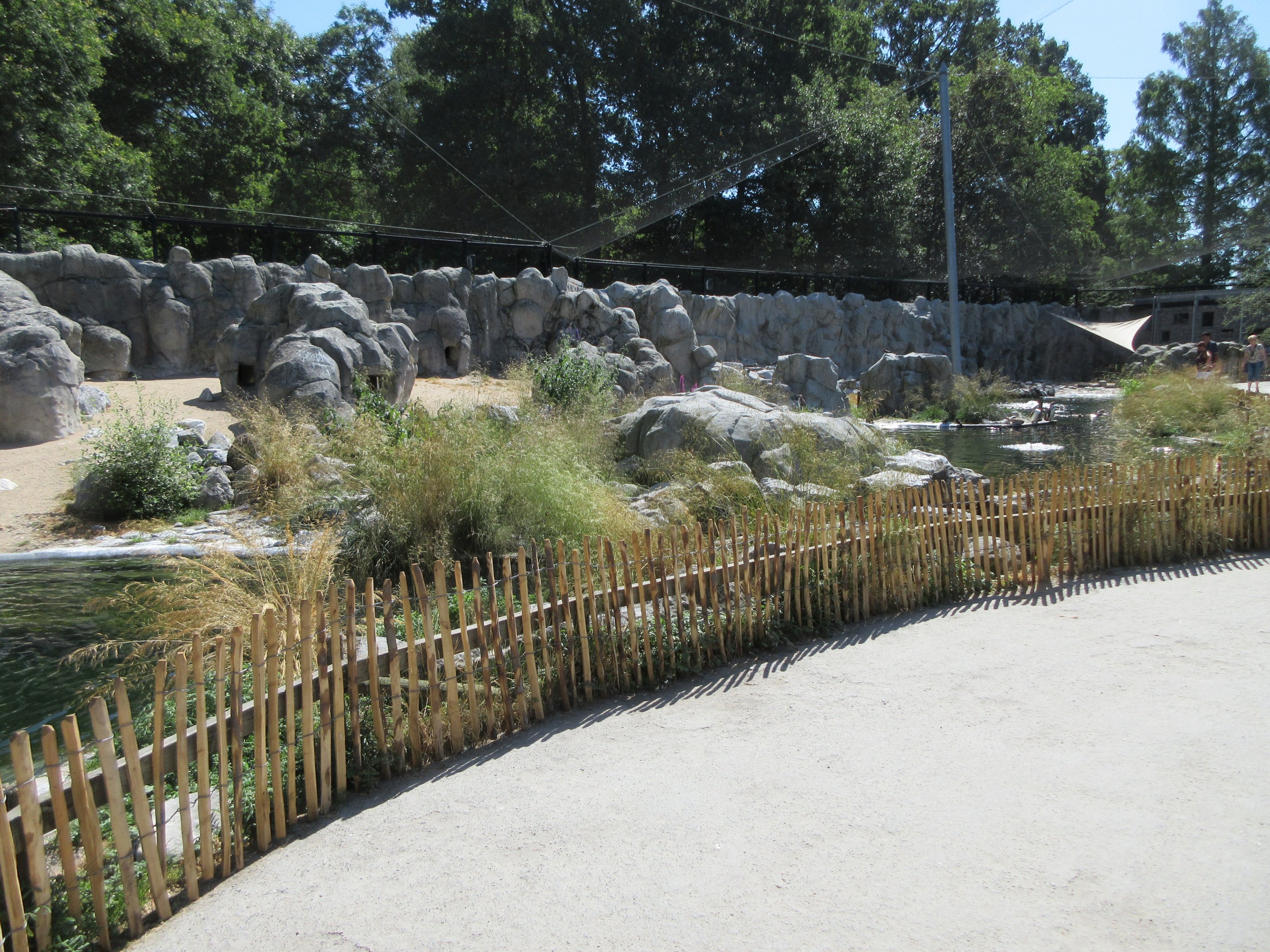 Humboldt Penguin Exhibit (brilliant, enormous aviary)