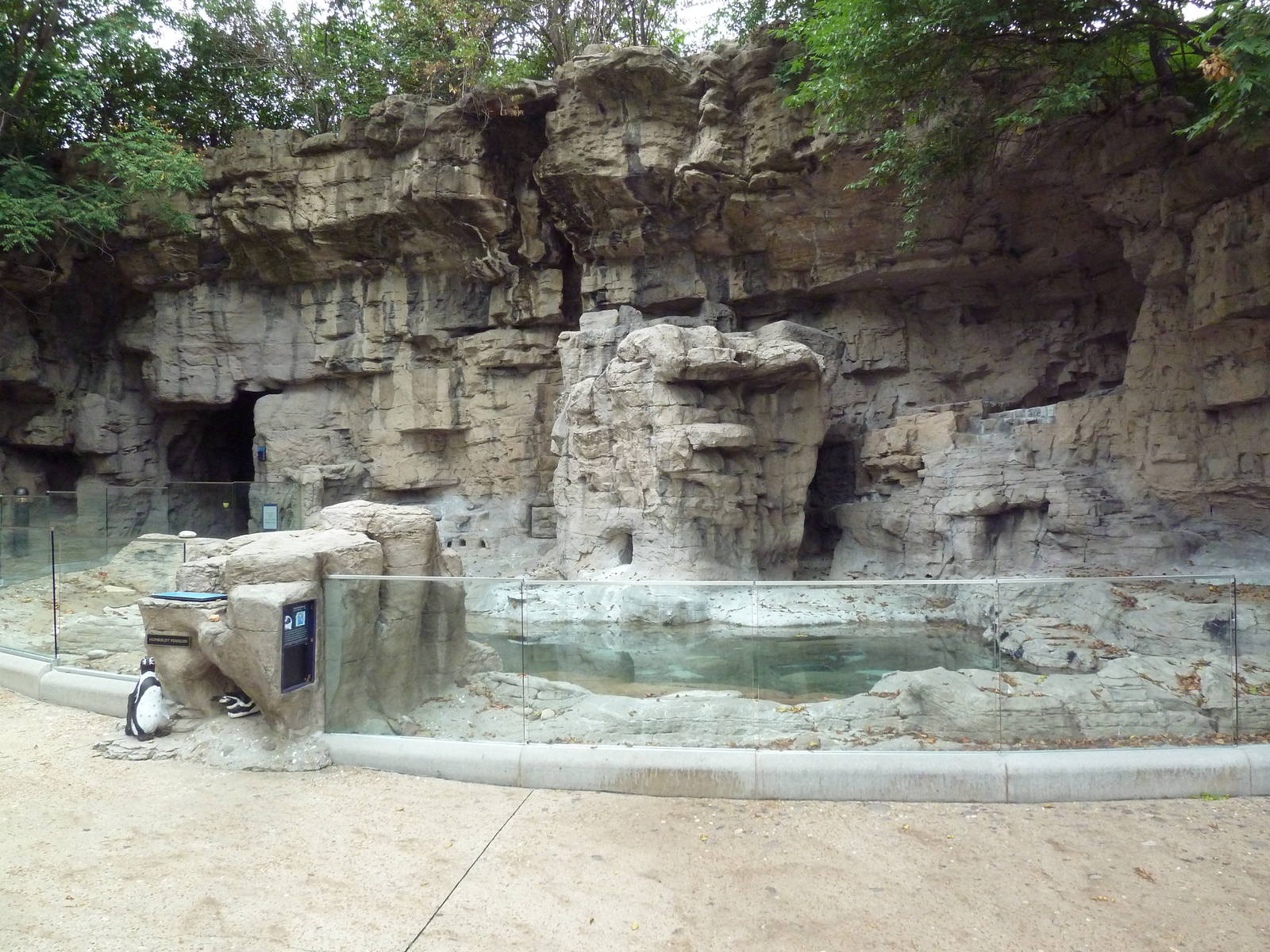 Humboldt Penguin Exhibit (currently empty)