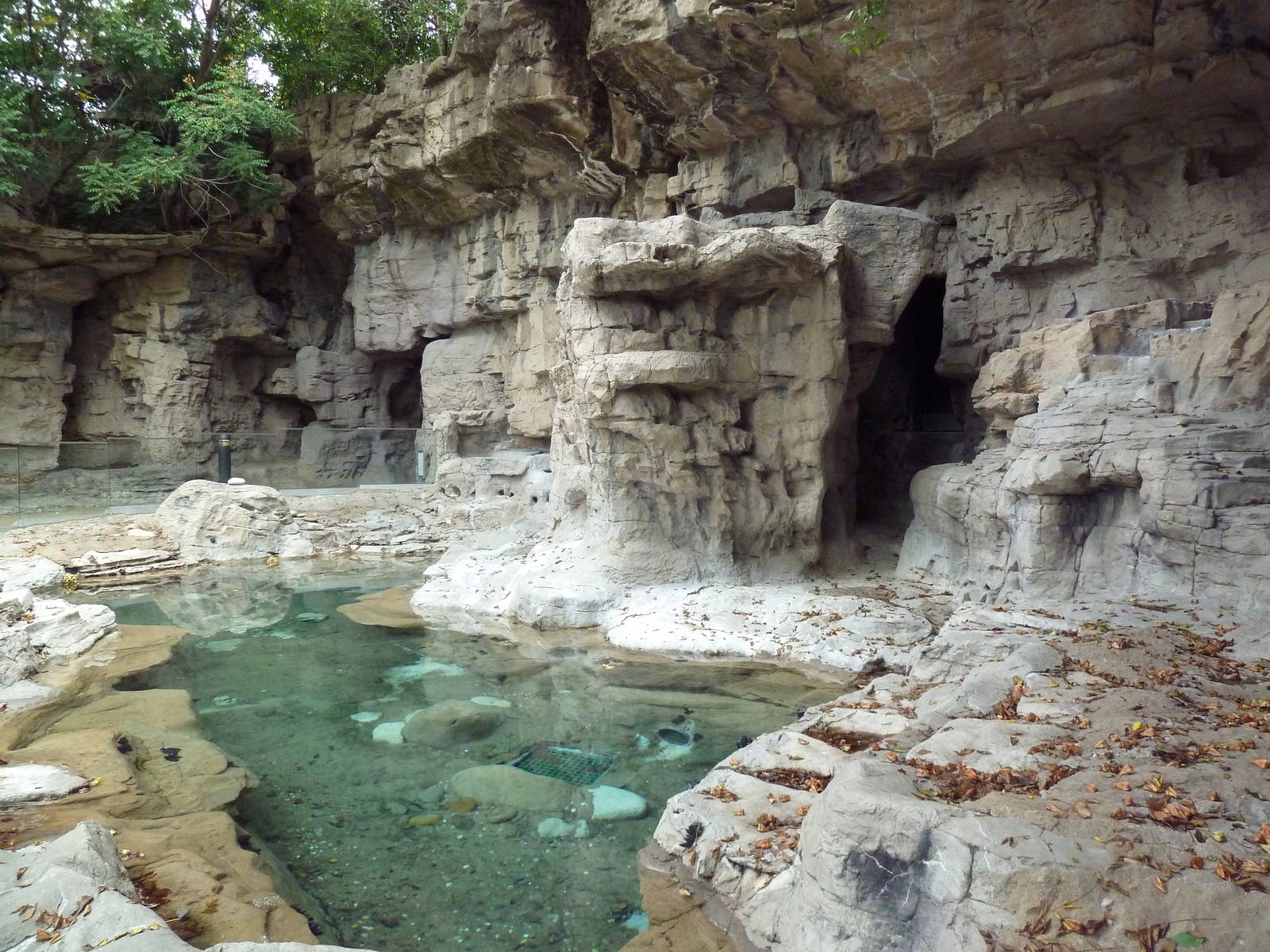 Humboldt Penguin Exhibit (currently empty)