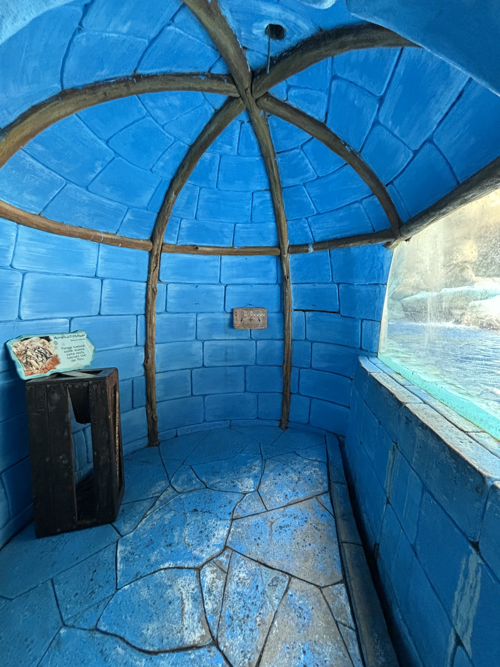 Humboldt Penguin Exhibit Igloo