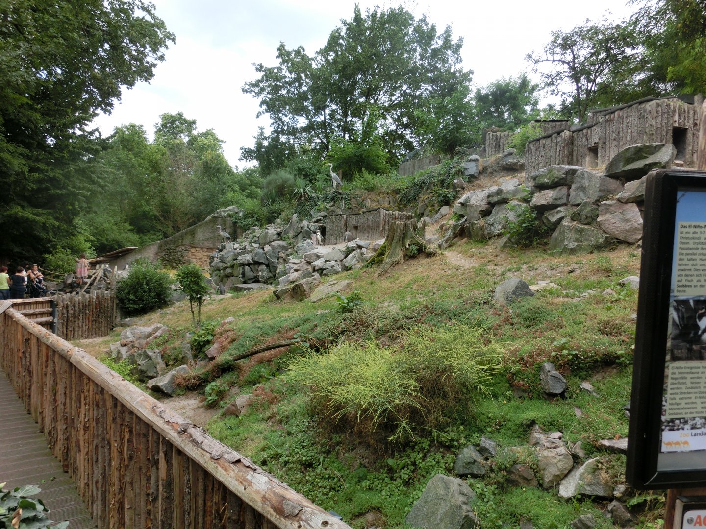 Humboldt penguin exhibit - Landau Zoo