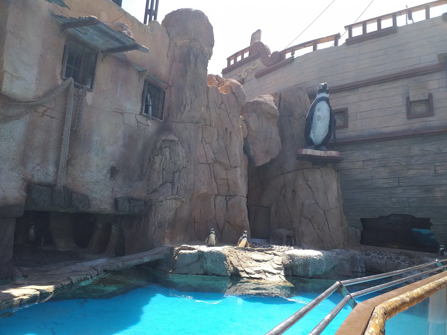 Humboldt penguin exhibit -MundoMar Benidorm (2021)