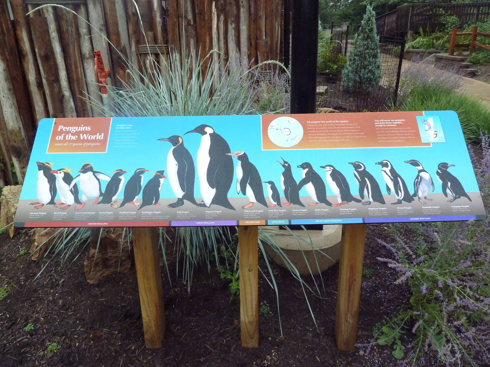 Humboldt Penguin Exhibit (New in 2013) - Sign