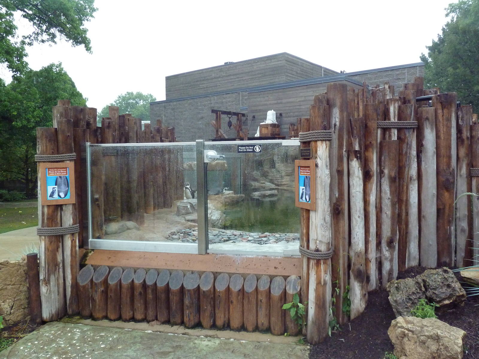 Humboldt Penguin Exhibit (New in 2013)