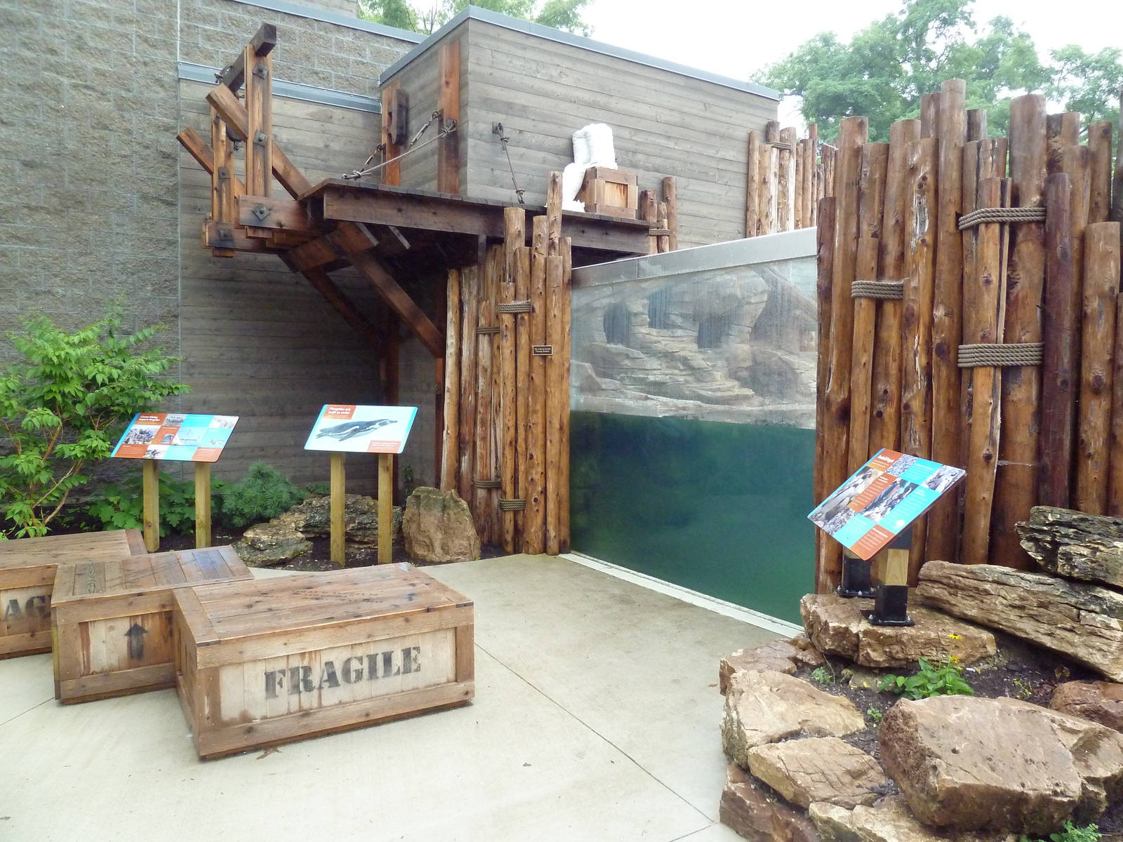 Humboldt Penguin Exhibit (New in 2013)