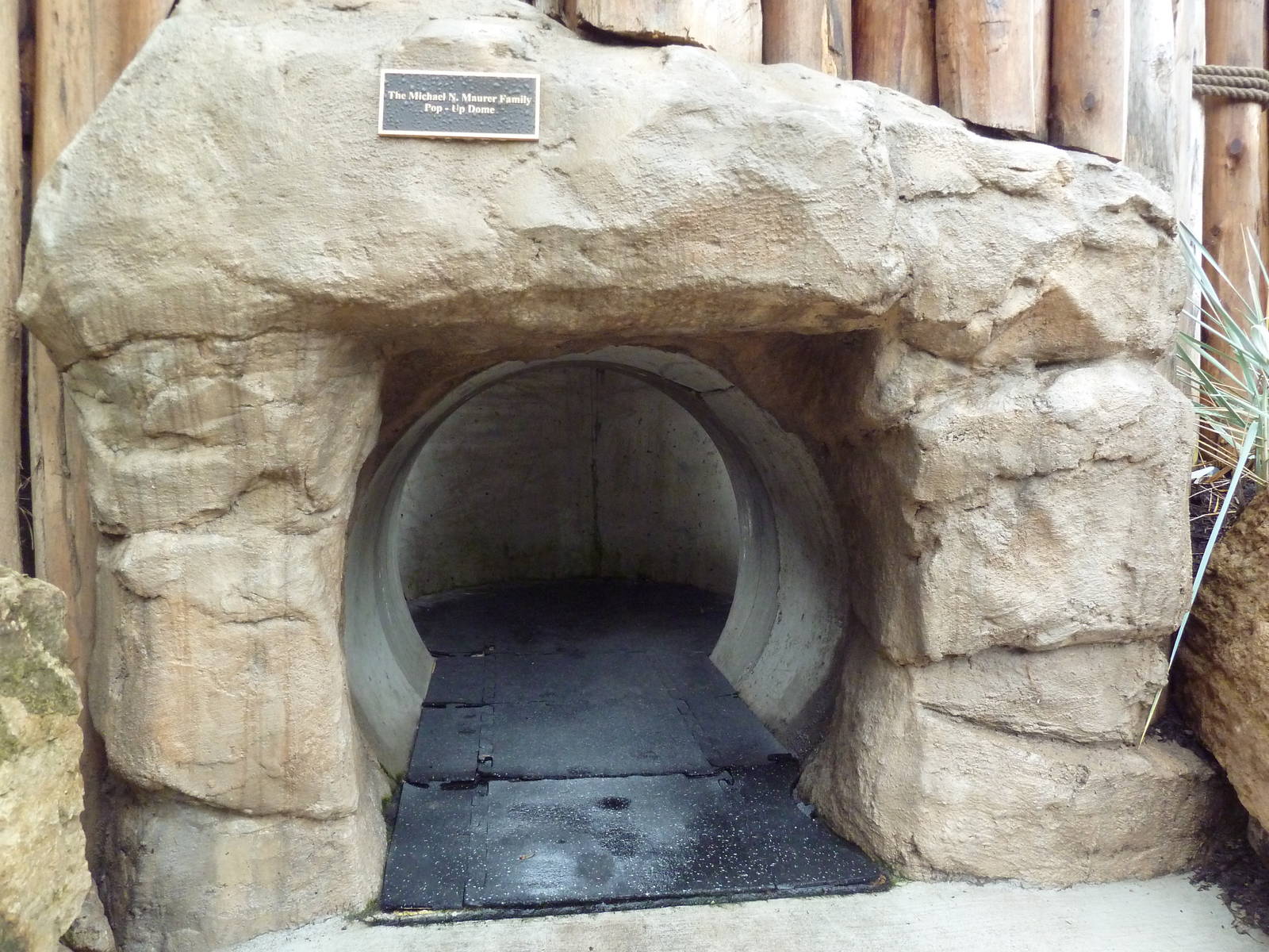 Humboldt Penguin Exhibit (New in 2013)