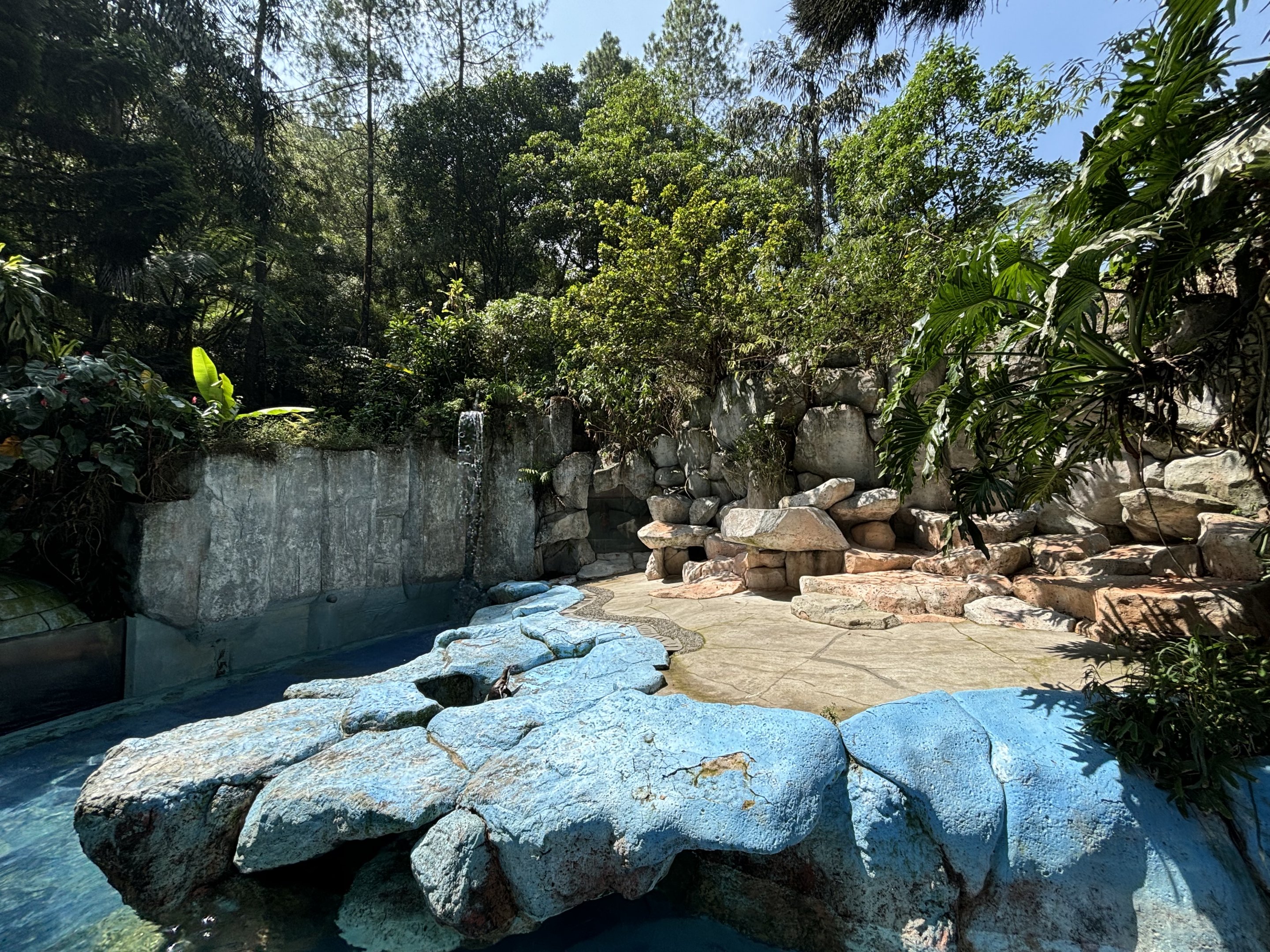 Humboldt Penguin Exhibit - old Polar Bear enclosure