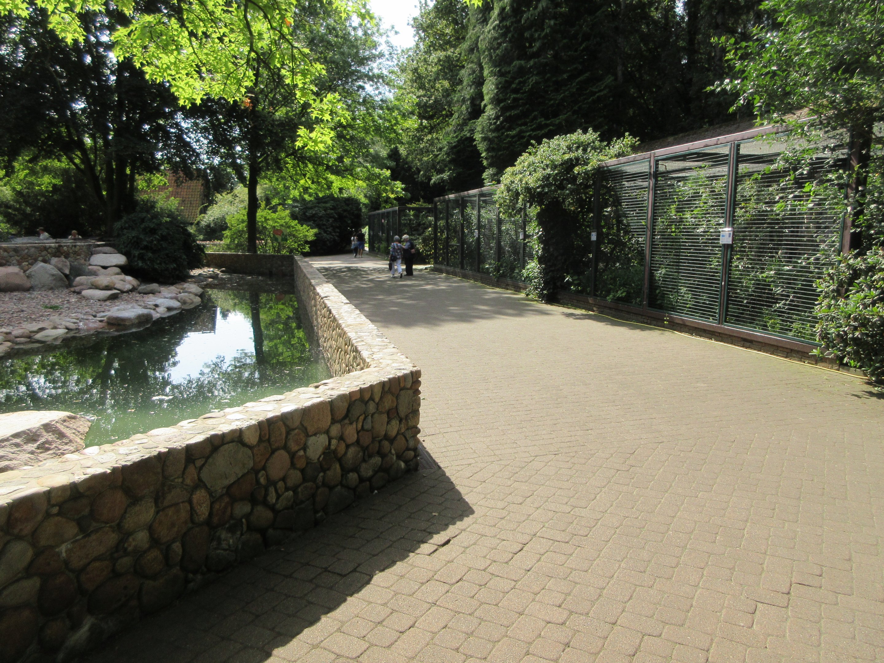 Humboldt Penguin Exhibit + Owl Aviaries