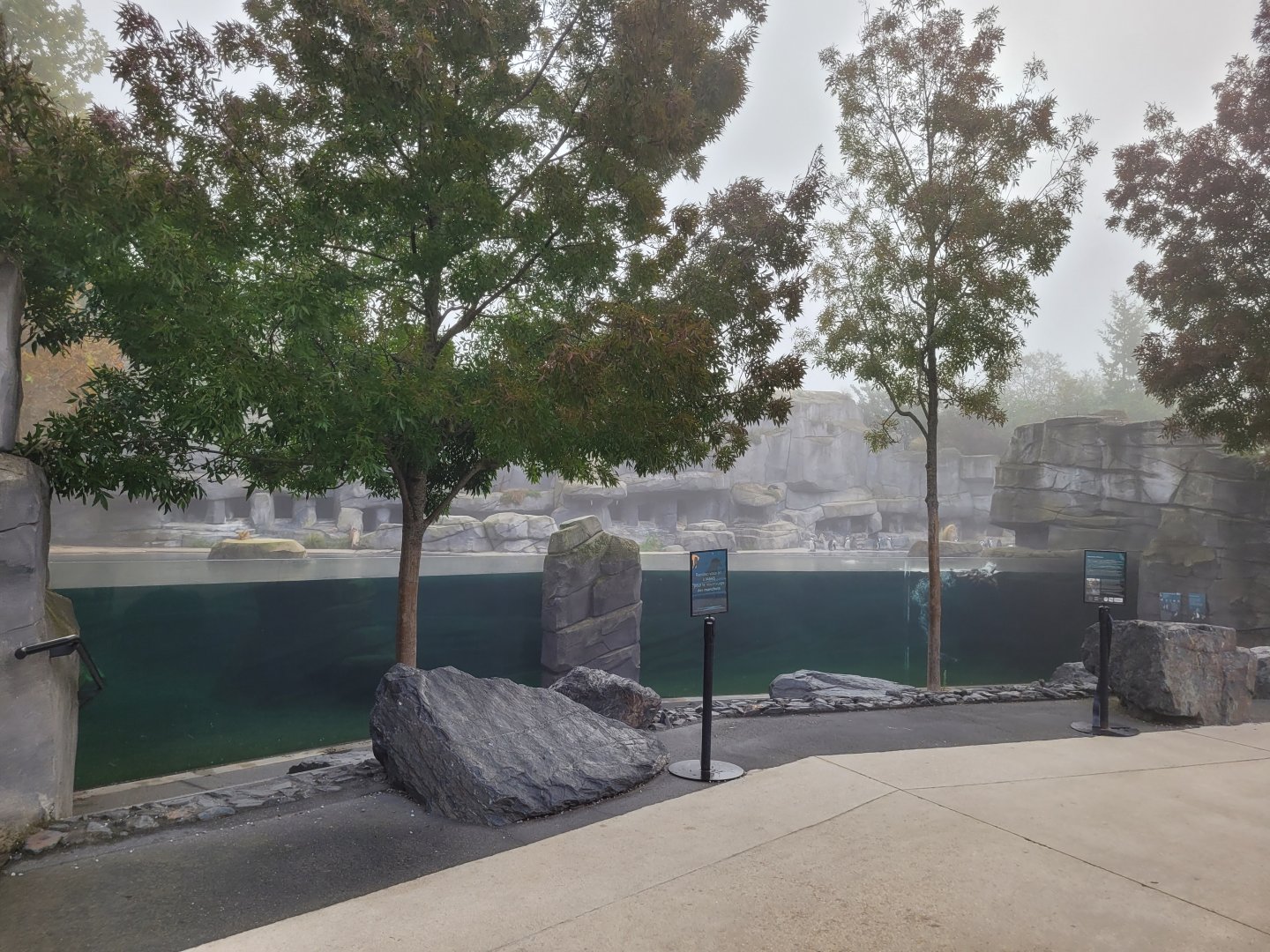 Humboldt penguin exhibit -Parc Zoologique de Paris (2022)