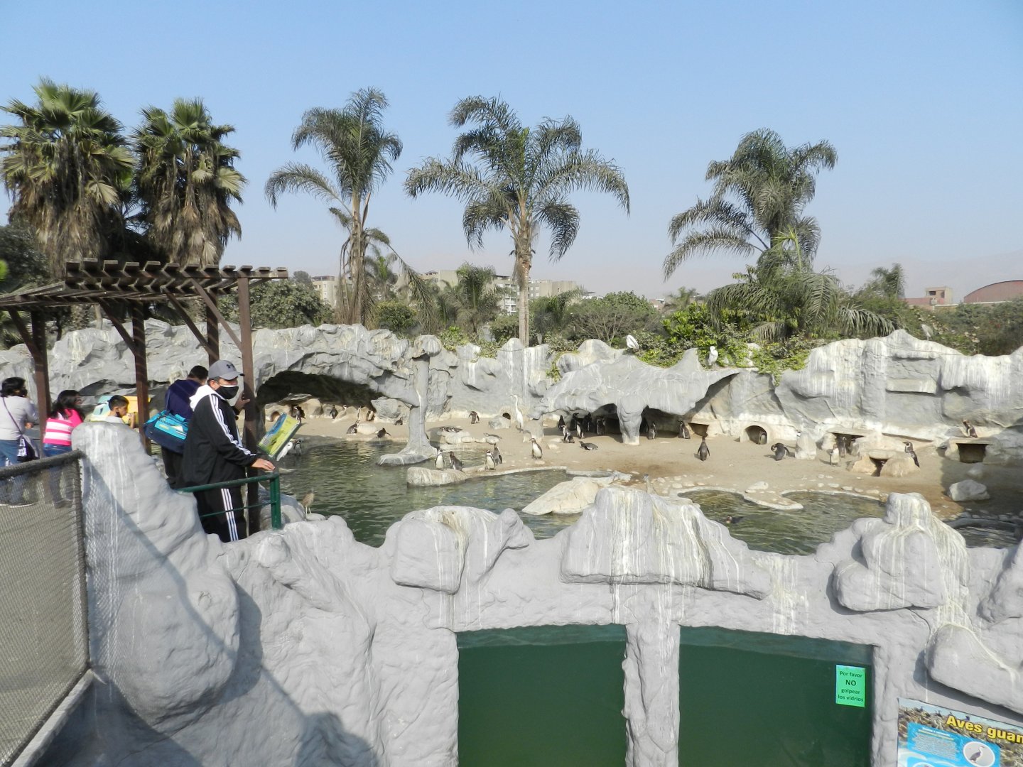 Humboldt penguin exhibit - Parque Zoológico Huachipa