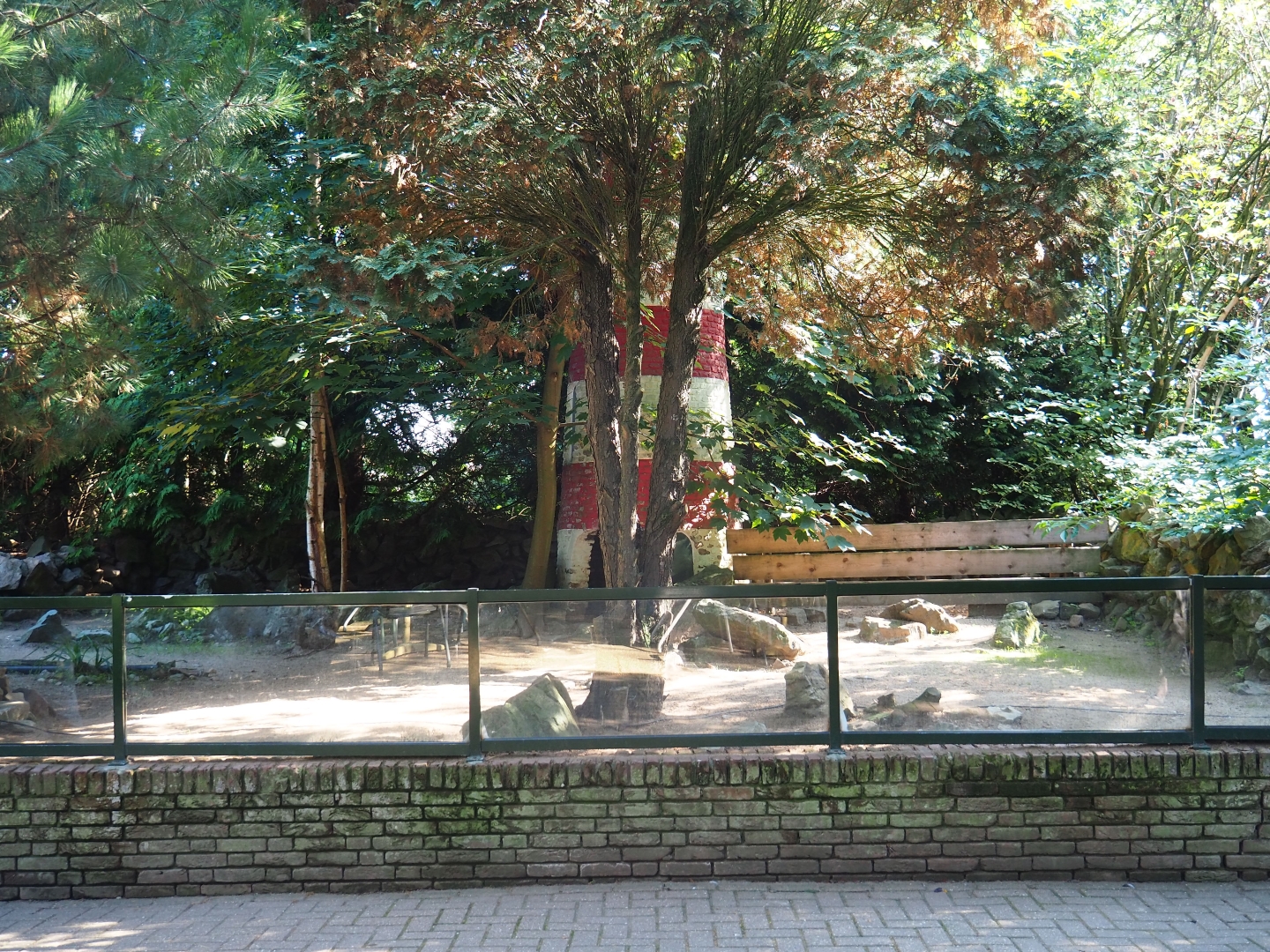 Humboldt penguin exhibit (Sep 2nd, 2018)