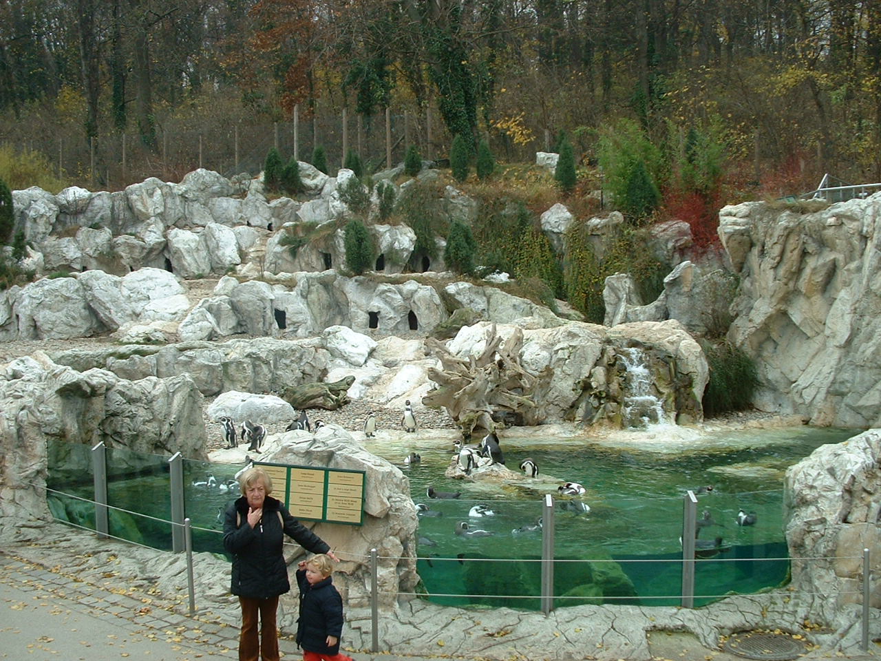 Humboldt Penguin Exhibit - Vienna 2006