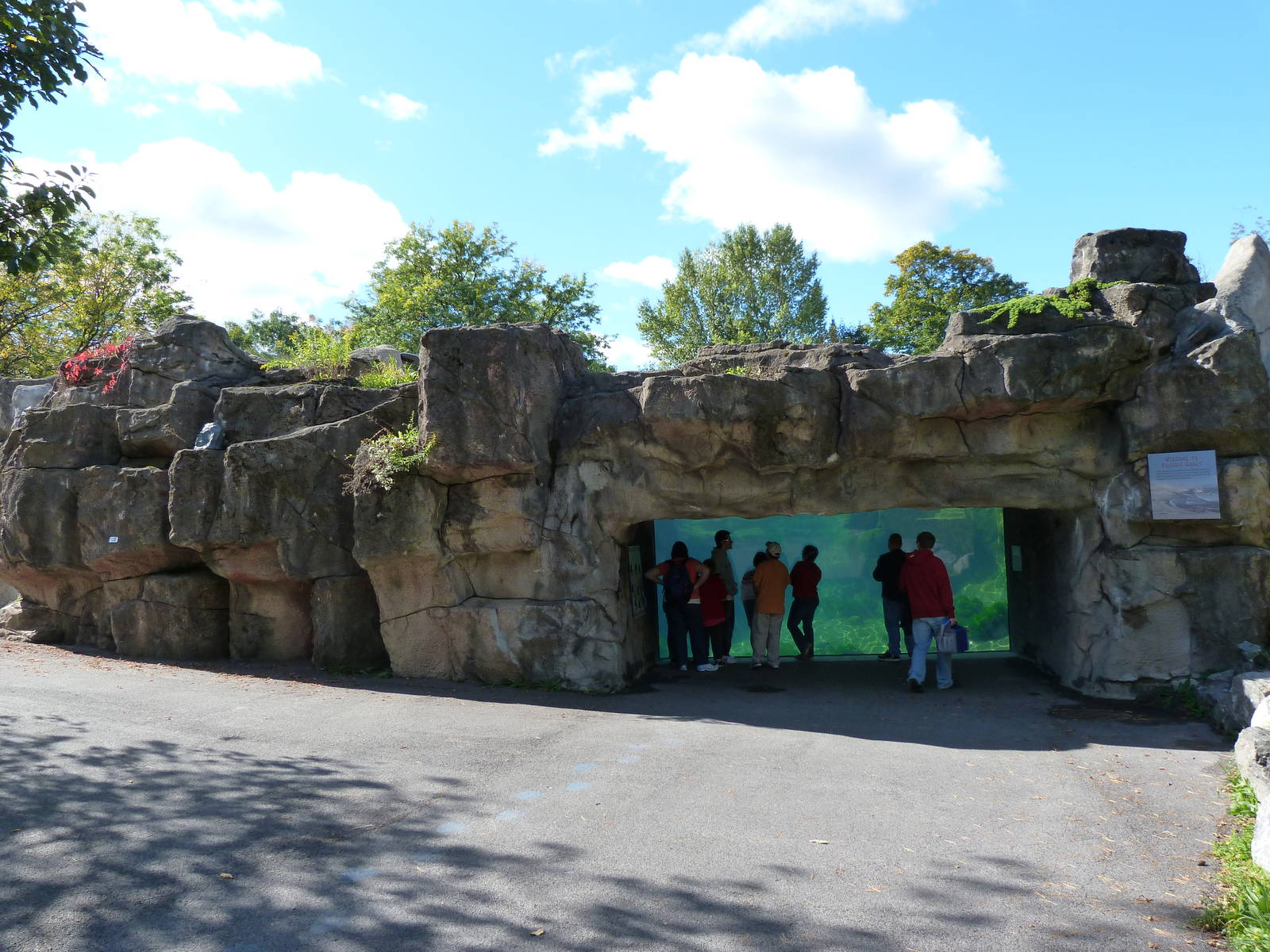 Humboldt Penguin Exhibit