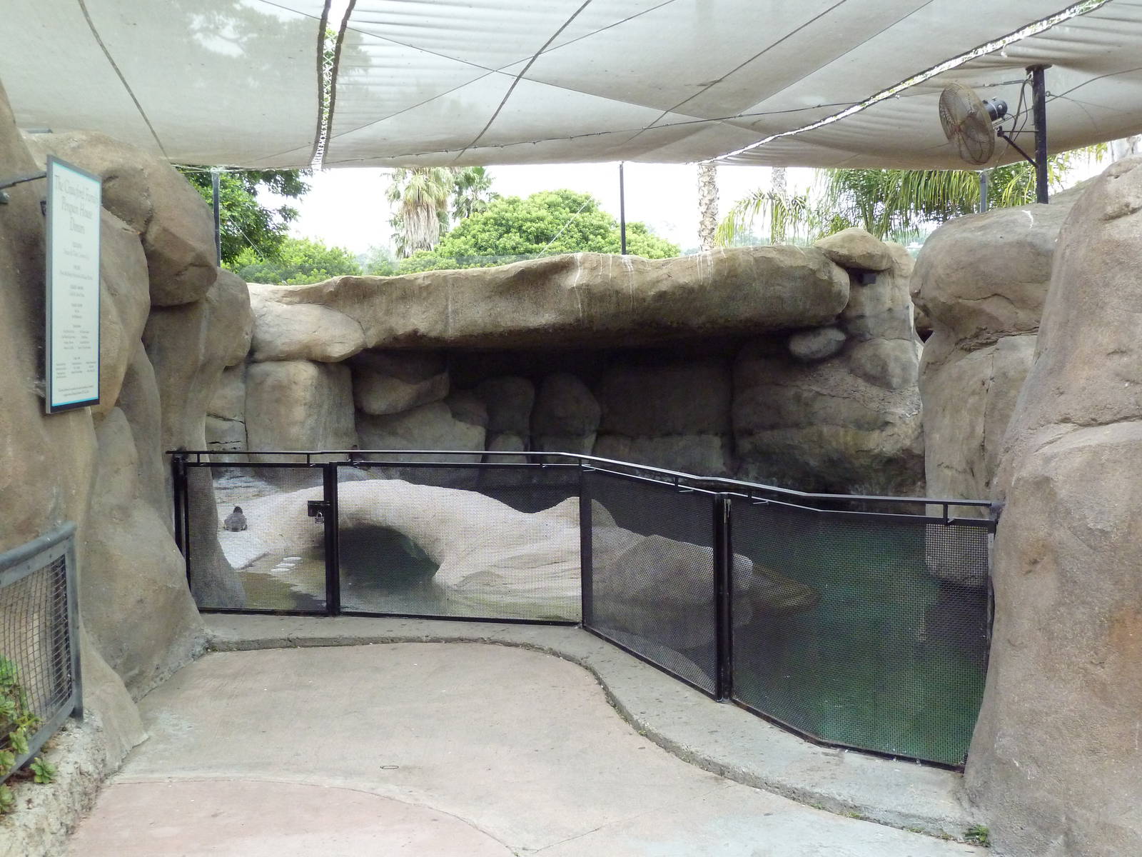 Humboldt Penguin Exhibit