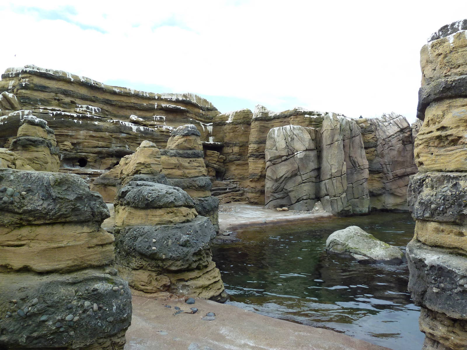 Humboldt Penguin Exhibit