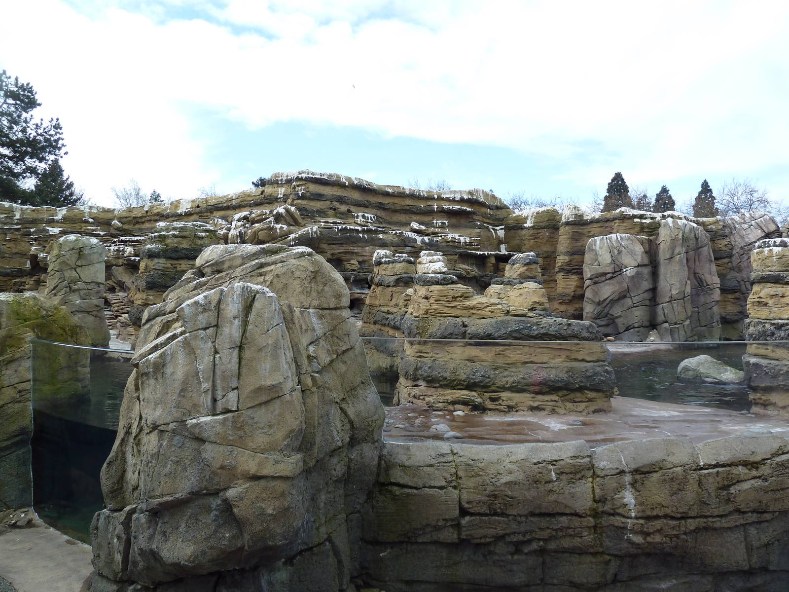 Humboldt Penguin Exhibit
