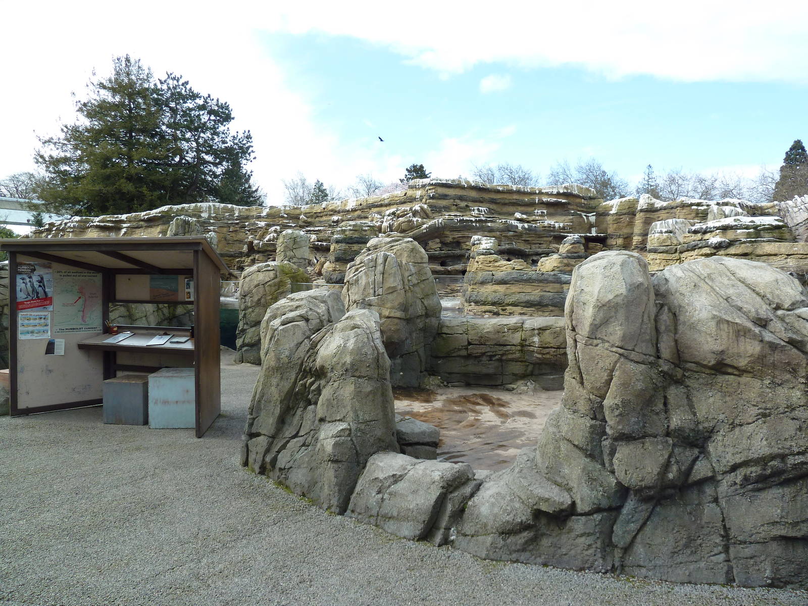 Humboldt Penguin Exhibit