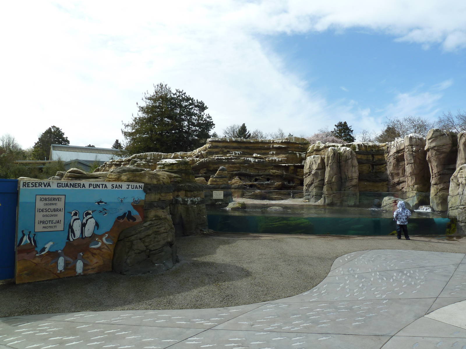 Humboldt Penguin Exhibit