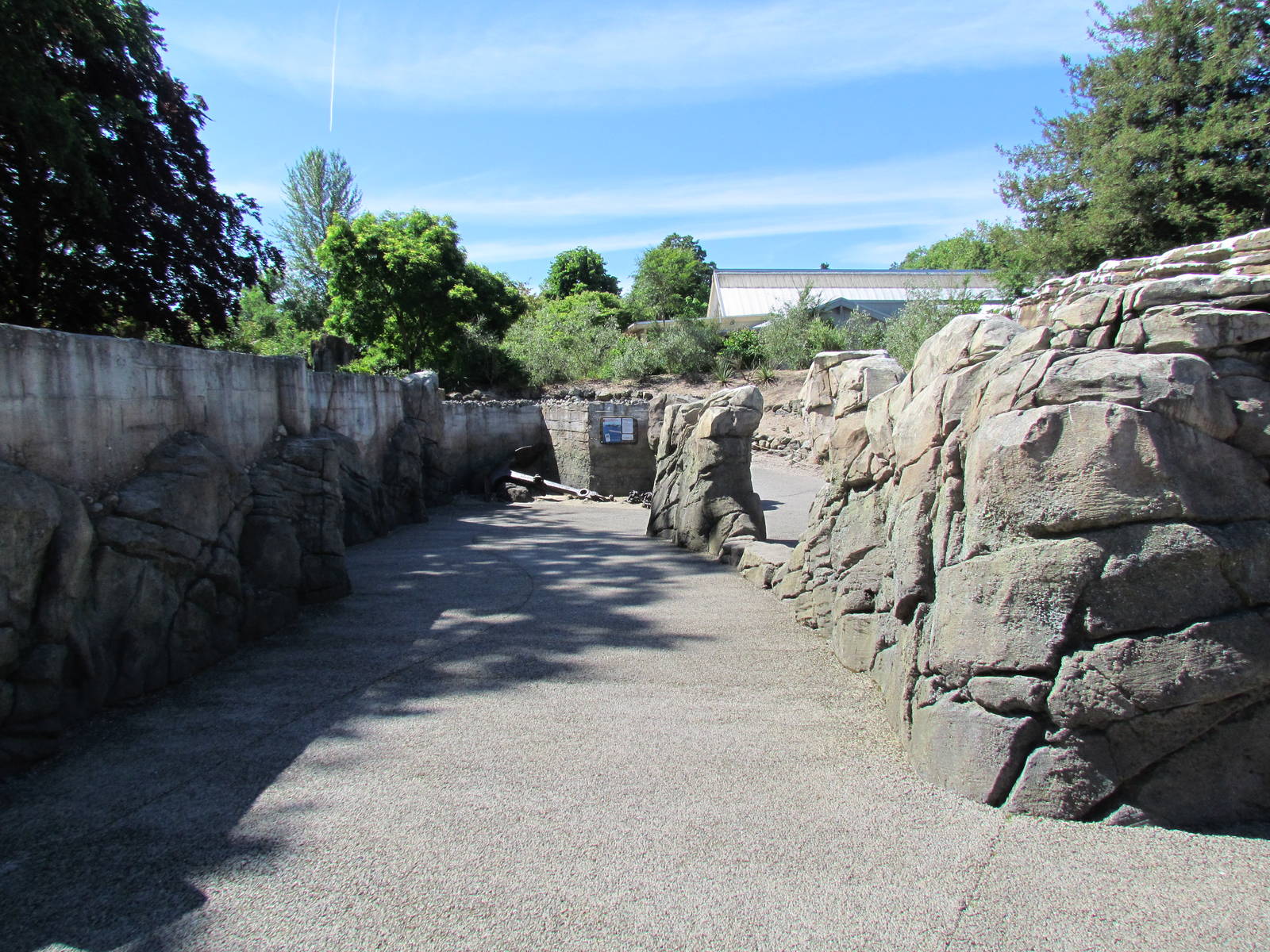 Humboldt Penguin Exhibit