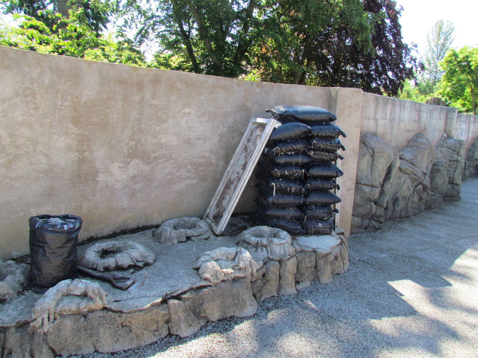 Humboldt Penguin Exhibit